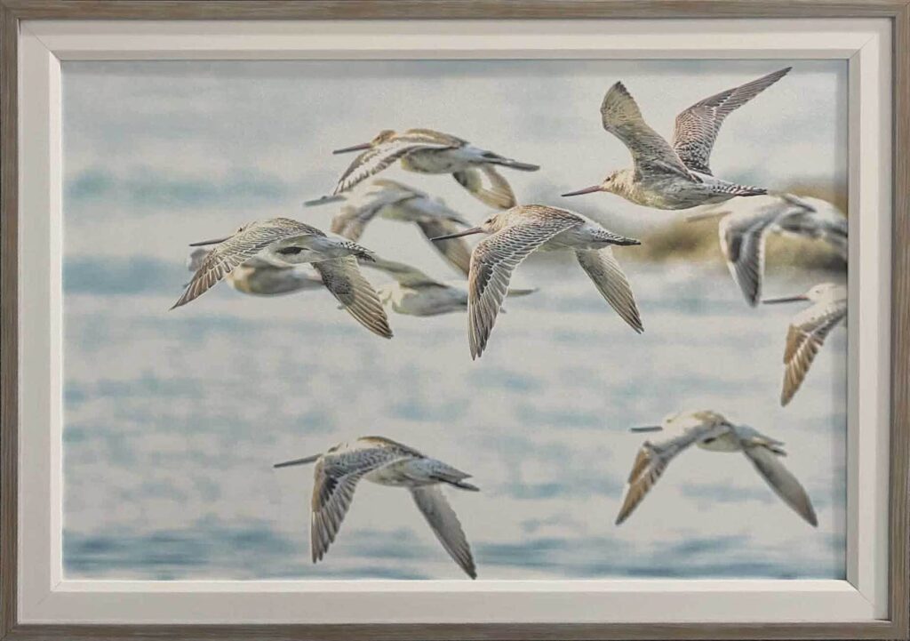 Framed artwork showing a flock of shorebirds in flight over a blue, cloudy sea.