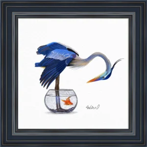 Birds