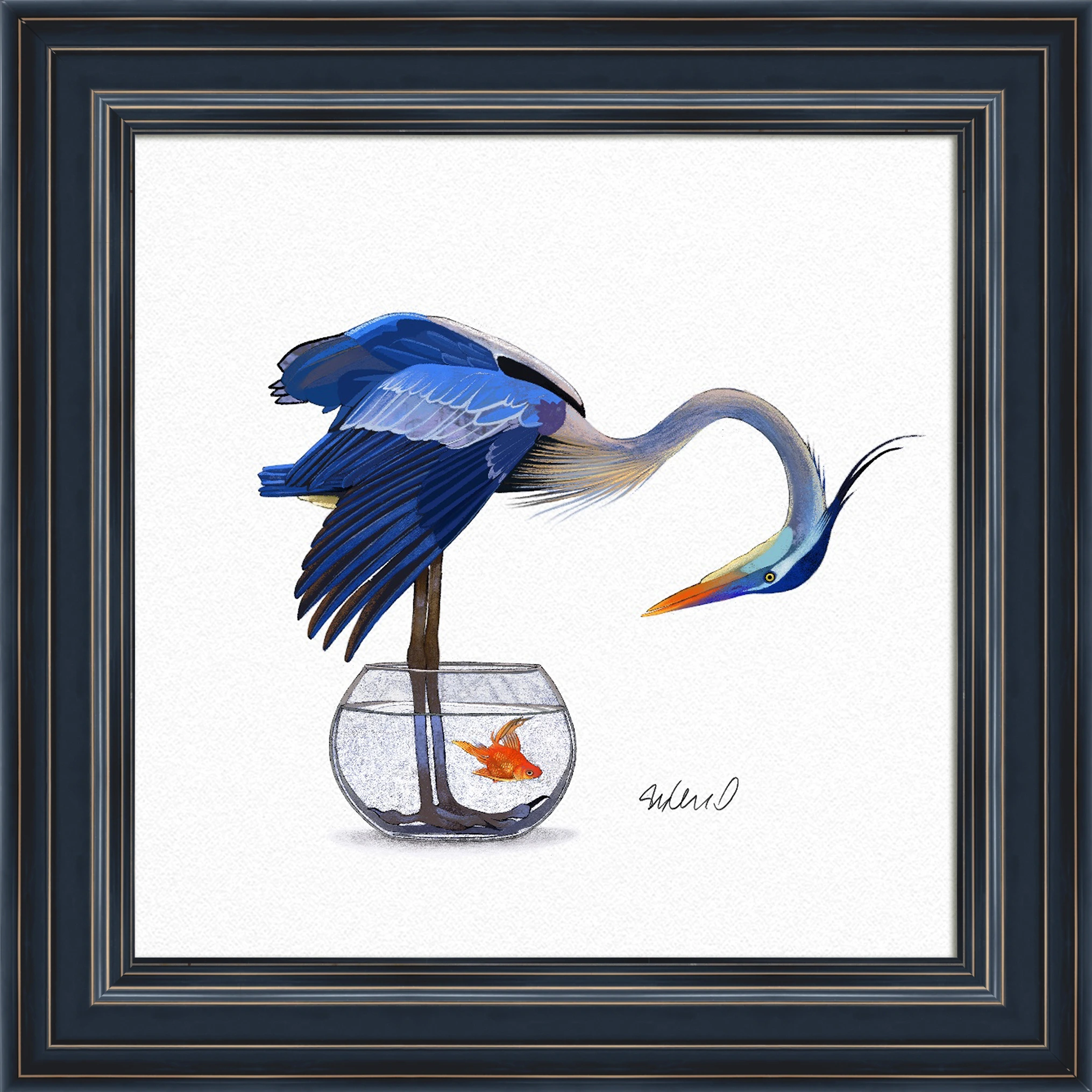 Birds